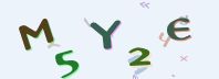 This is a captcha-picture. It is used to prevent mass-access by robots. (see: www.captcha.net)